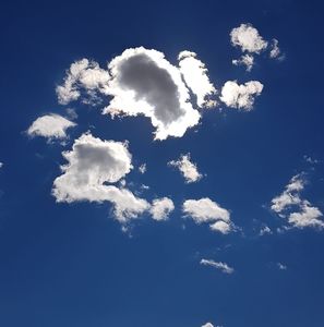 Meet your Posher, Jarius